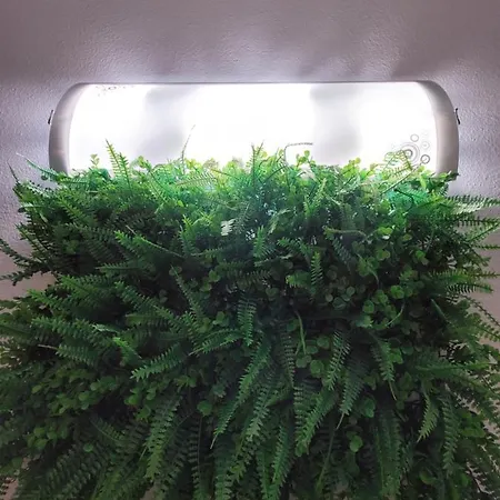 Riscalito 15 アパート